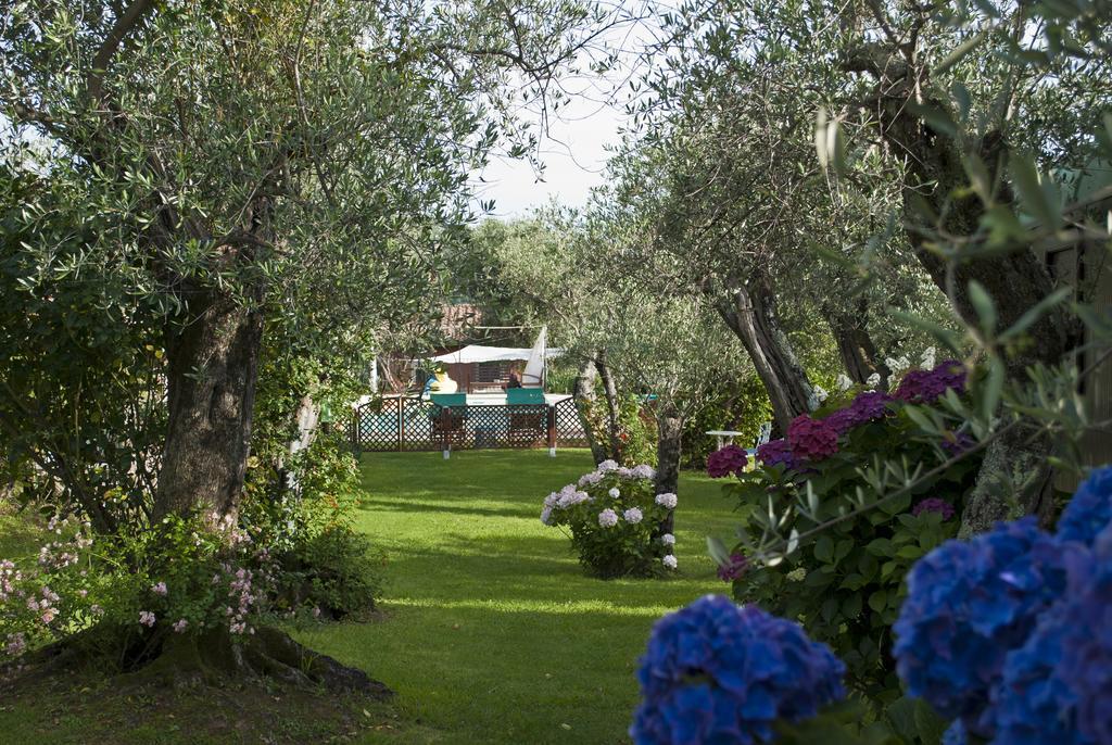 Azienda Agricola Della Mezzaluna Stiava Екстериор снимка
